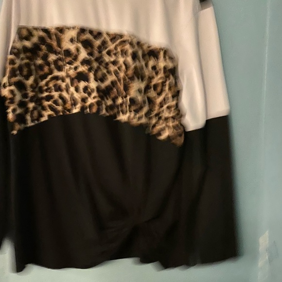 A long sleeve cheetah print shirt - Picture 1 of 2